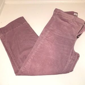 Loft velour wide leg pant